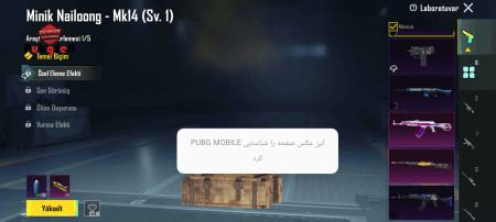 خرید و فروش اکانت پابجی موبایل