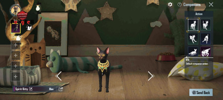 خرید و فروش اکانت پابجی موبایل