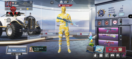 خرید و فروش اکانت پابجی موبایل