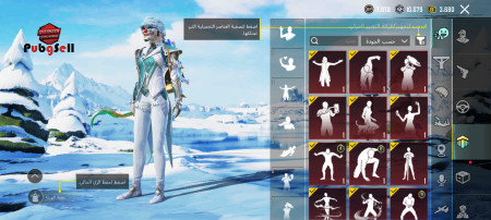 خرید و فروش اکانت پابجی موبایل