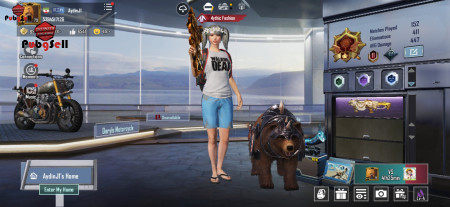 خرید و فروش اکانت پابجی موبایل