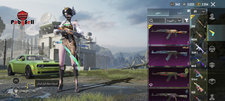 خرید و فروش اکانت پابجی موبایل