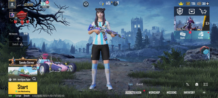 خرید و فروش اکانت پابجی موبایل