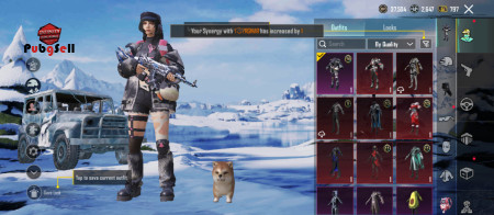 خرید و فروش اکانت پابجی موبایل