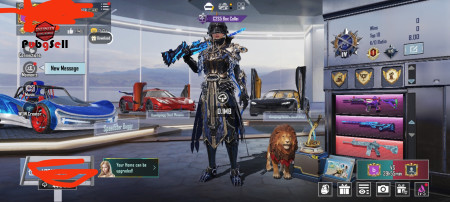 خرید و فروش اکانت پابجی موبایل