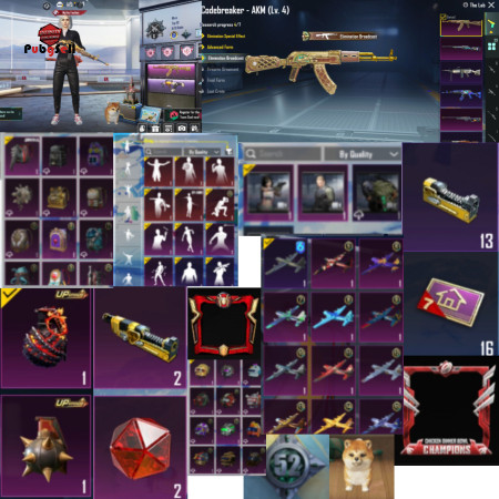 خرید و فروش اکانت پابجی موبایل