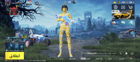 خرید و فروش اکانت پابجی موبایل