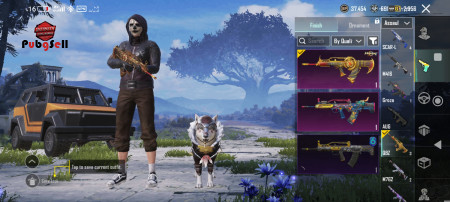 خرید و فروش اکانت پابجی موبایل