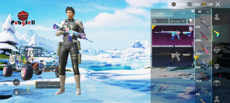 خرید و فروش اکانت پابجی موبایل