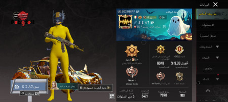 خرید و فروش اکانت پابجی موبایل