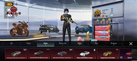 خرید و فروش اکانت پابجی موبایل