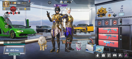 خرید و فروش اکانت پابجی موبایل