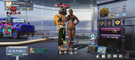 خرید و فروش اکانت پابجی موبایل