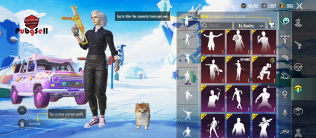 خرید و فروش اکانت پابجی موبایل