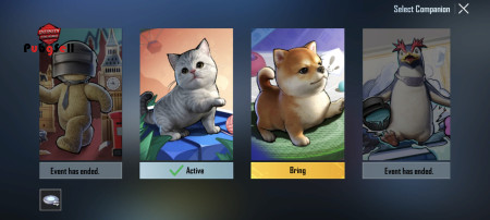 خرید و فروش اکانت پابجی موبایل