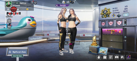 خرید و فروش اکانت پابجی موبایل