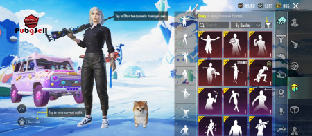 خرید و فروش اکانت پابجی موبایل