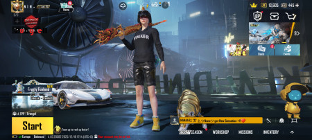 خرید و فروش اکانت پابجی موبایل