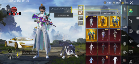 خرید و فروش اکانت پابجی موبایل