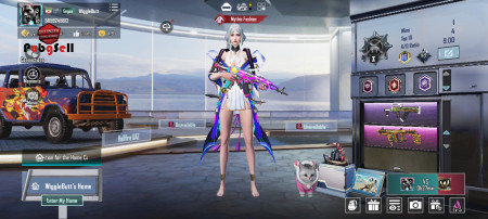 خرید و فروش اکانت پابجی موبایل