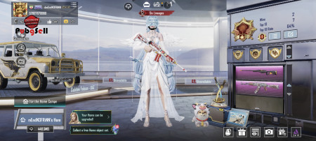 خرید و فروش اکانت پابجی موبایل