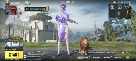 خرید و فروش اکانت پابجی موبایل