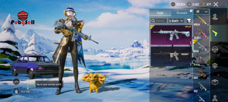 خرید و فروش اکانت پابجی موبایل