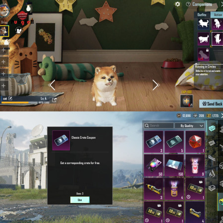 خرید و فروش اکانت پابجی موبایل