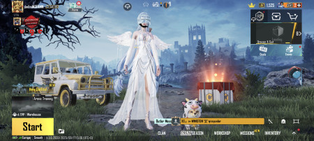 خرید و فروش اکانت پابجی موبایل