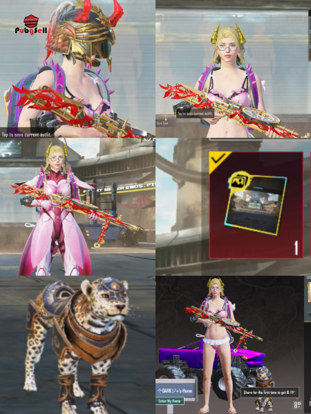 خرید و فروش اکانت پابجی موبایل