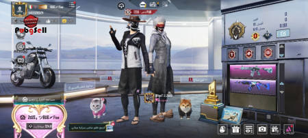 خرید و فروش اکانت پابجی موبایل