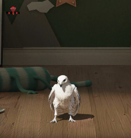 خرید و فروش اکانت پابجی موبایل