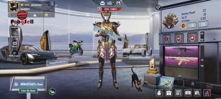 خرید و فروش اکانت پابجی موبایل