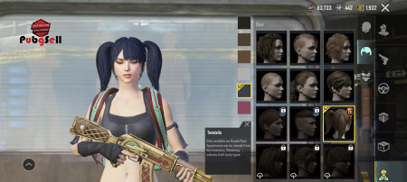 خرید و فروش اکانت پابجی موبایل