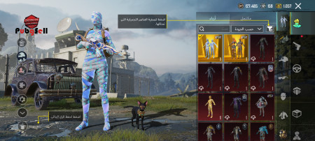 خرید و فروش اکانت پابجی موبایل