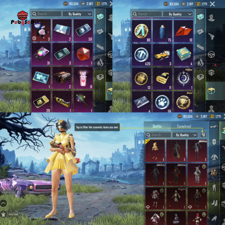 خرید و فروش اکانت پابجی موبایل