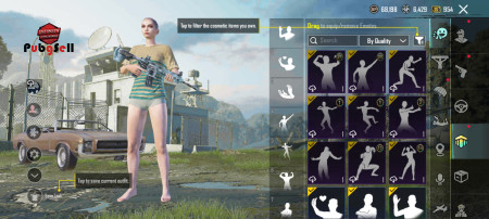 خرید و فروش اکانت پابجی موبایل