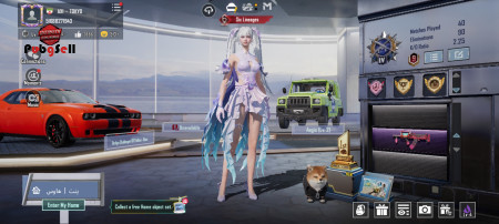 خرید و فروش اکانت پابجی موبایل