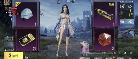 خرید و فروش اکانت پابجی موبایل