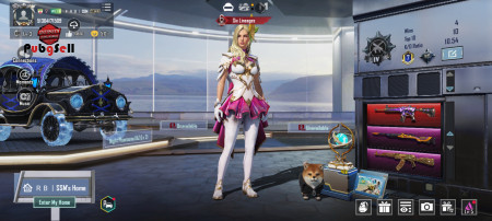 خرید و فروش اکانت پابجی موبایل