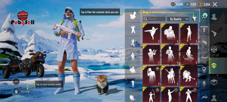 خرید و فروش اکانت پابجی موبایل