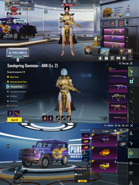 خرید و فروش اکانت پابجی موبایل