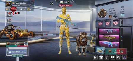 خرید و فروش اکانت پابجی موبایل