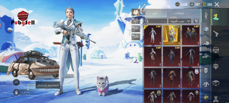 خرید و فروش اکانت پابجی موبایل