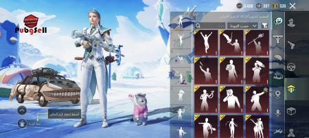 خرید و فروش اکانت پابجی موبایل