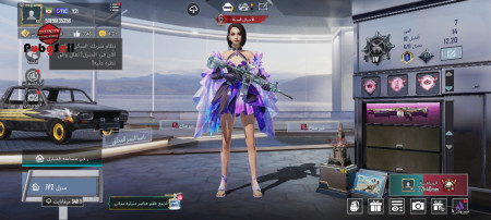 خرید و فروش اکانت پابجی موبایل