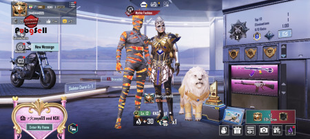 خرید و فروش اکانت پابجی موبایل