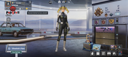 خرید و فروش اکانت پابجی موبایل