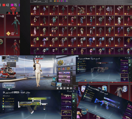 خرید و فروش اکانت پابجی موبایل