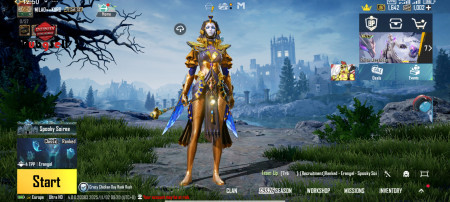 خرید و فروش اکانت پابجی موبایل